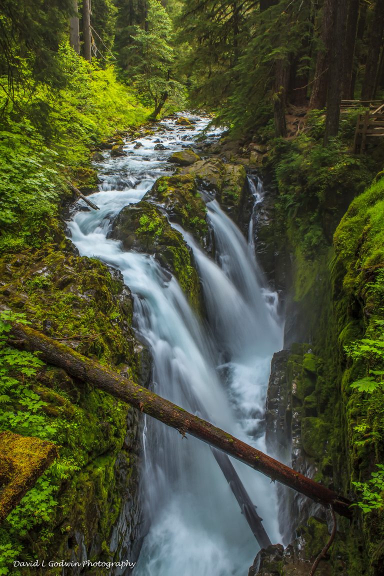 Sol Duc Falls - David L Godwin Photography